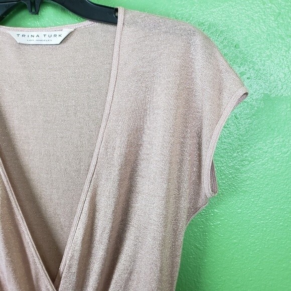 Trina Turk Pink Glittery Sheer Ruffled Short Sleeve Top Size Small - Picture 6 of 7